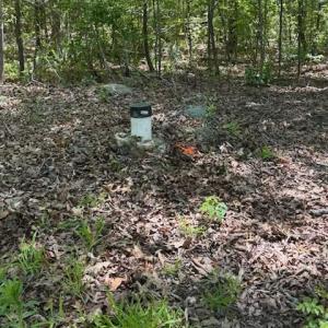 Photo #10 of 7 Walkers Lane, Chase City, VA 10.0 acres