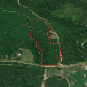 Photo #12 of 7 Walkers Lane, Chase City, VA 10.0 acres