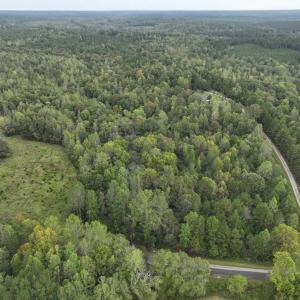 Photo #4 of 7 Walkers Lane, Chase City, VA 10.0 acres
