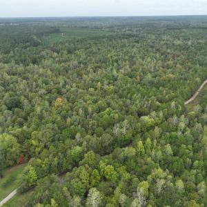 Photo #6 of 7 Walkers Lane, Chase City, VA 10.0 acres