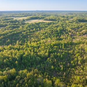 Photo #10 of 00 Poorhouse Road, Rice, VA 56.7 acres