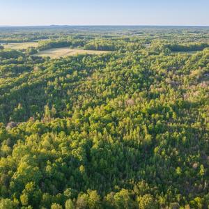 Photo #11 of 00 Poorhouse Road, Rice, VA 56.7 acres