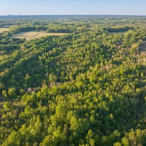 Photo #12 of 00 Poorhouse Road, Rice, VA 56.7 acres