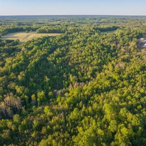 Photo #13 of 00 Poorhouse Road, Rice, VA 56.7 acres