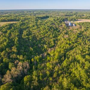 Photo #14 of 00 Poorhouse Road, Rice, VA 56.7 acres