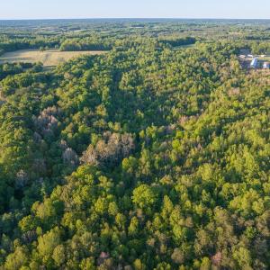 Photo #15 of 00 Poorhouse Road, Rice, VA 56.7 acres