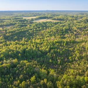 Photo #8 of 00 Poorhouse Road, Rice, VA 56.7 acres