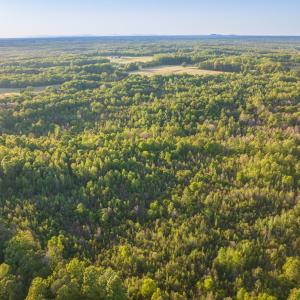 Photo #9 of 00 Poorhouse Road, Rice, VA 56.7 acres