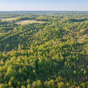 Photo #14 of 00 Poorhouse Road, Rice, VA 56.7 acres
