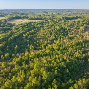 Photo #15 of 00 Poorhouse Road, Rice, VA 56.7 acres