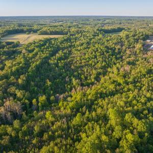 Photo #16 of 00 Poorhouse Road, Rice, VA 56.7 acres