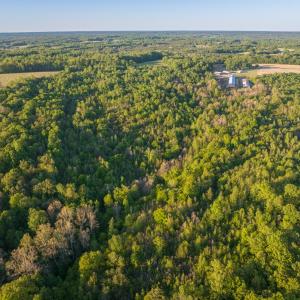 Photo #17 of 00 Poorhouse Road, Rice, VA 56.7 acres