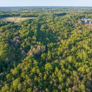 Photo #18 of 00 Poorhouse Road, Rice, VA 56.7 acres