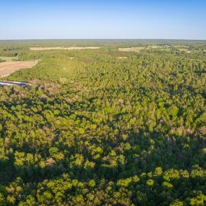 Photo #22 of 00 Poorhouse Road, Rice, VA 56.7 acres