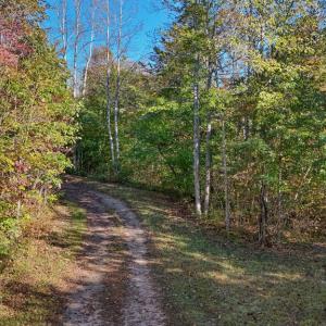 Photo #10 of Allen Rosen Rd, Dillwyn, VA 38.8 acres