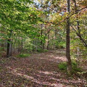 Photo #11 of Allen Rosen Rd, Dillwyn, VA 38.8 acres