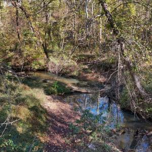 Photo #13 of Allen Rosen Rd, Dillwyn, VA 38.8 acres