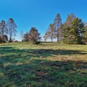 Photo #2 of Allen Rosen Rd, Dillwyn, VA 38.8 acres