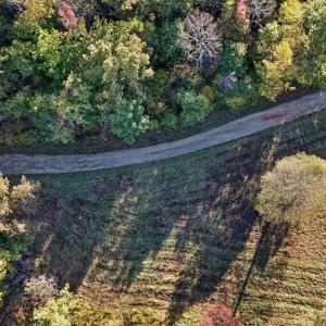 Photo #4 of Allen Rosen Rd, Dillwyn, VA 38.8 acres