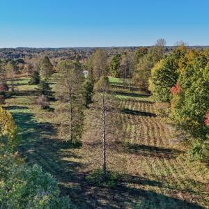 Photo #5 of Allen Rosen Rd, Dillwyn, VA 38.8 acres