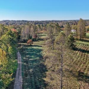 Photo #6 of Allen Rosen Rd, Dillwyn, VA 38.8 acres