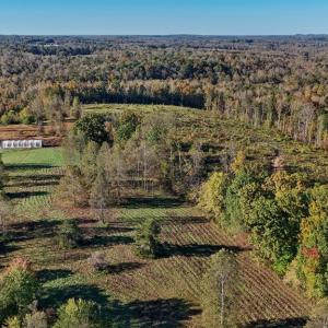 Photo #7 of Allen Rosen Rd, Dillwyn, VA 38.8 acres