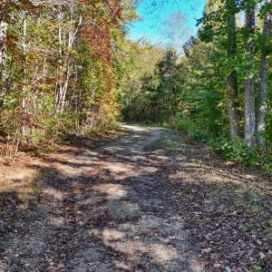 Photo #8 of Allen Rosen Rd, Dillwyn, VA 38.8 acres
