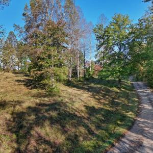 Photo #9 of Allen Rosen Rd, Dillwyn, VA 38.8 acres
