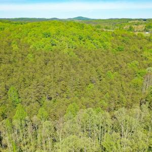Photo #10 of Old Well Road, Spencer, VA 47.7 acres