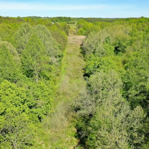 Photo #11 of Old Well Road, Spencer, VA 47.7 acres