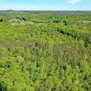 Photo #12 of Old Well Road, Spencer, VA 47.7 acres
