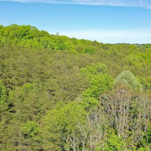 Photo #13 of Old Well Road, Spencer, VA 47.7 acres