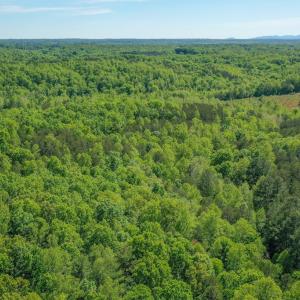 Photo #14 of Old Well Road, Spencer, VA 47.7 acres