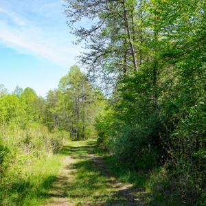 Photo #15 of Old Well Road, Spencer, VA 47.7 acres