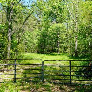 Photo #17 of Old Well Road, Spencer, VA 47.7 acres