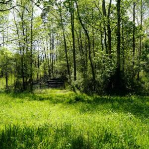 Photo #18 of Old Well Road, Spencer, VA 47.7 acres