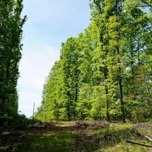 Photo #20 of Old Well Road, Spencer, VA 47.7 acres