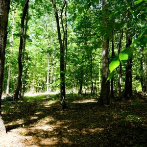 Photo #23 of Old Well Road, Spencer, VA 47.7 acres