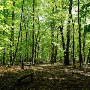 Photo #25 of Old Well Road, Spencer, VA 47.7 acres