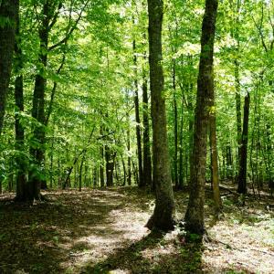 Photo #27 of Old Well Road, Spencer, VA 47.7 acres