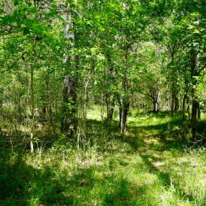 Photo #29 of Old Well Road, Spencer, VA 47.7 acres