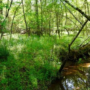 Photo #30 of Old Well Road, Spencer, VA 47.7 acres