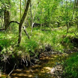 Photo #31 of Old Well Road, Spencer, VA 47.7 acres