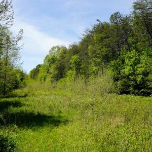 Photo #32 of Old Well Road, Spencer, VA 47.7 acres