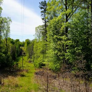 Photo #35 of Old Well Road, Spencer, VA 47.7 acres
