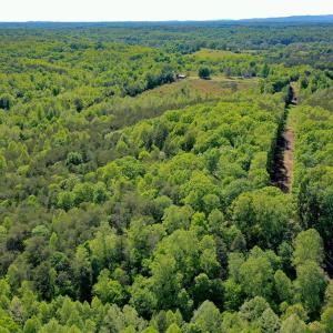 Photo #4 of Old Well Road, Spencer, VA 47.7 acres