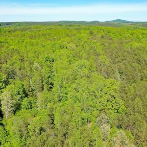 Photo #5 of Old Well Road, Spencer, VA 47.7 acres