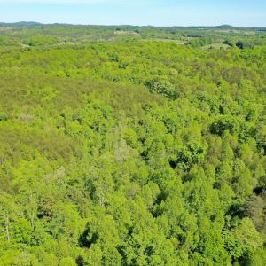 Photo #6 of Old Well Road, Spencer, VA 47.7 acres