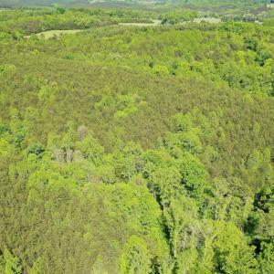 Photo #7 of Old Well Road, Spencer, VA 47.7 acres
