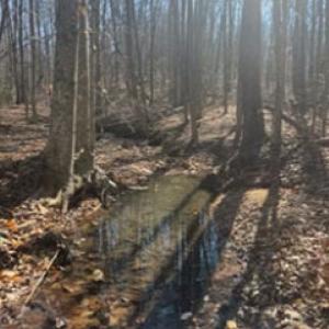 Photo #2 of 626 Holiday Lake Road, Pamplin, VA 5.0 acres